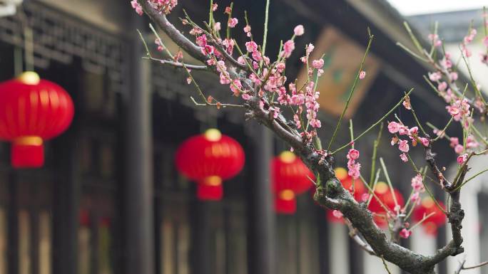 初春烟雨中的兰溪芥子园