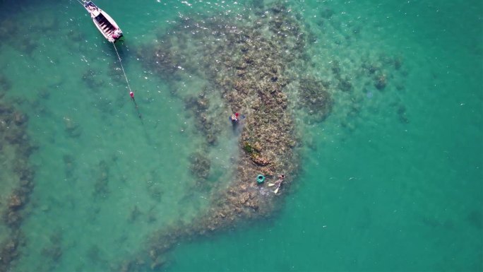 海岛浮潜者