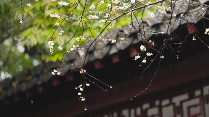 雨天杭州西湖钱王祠景色