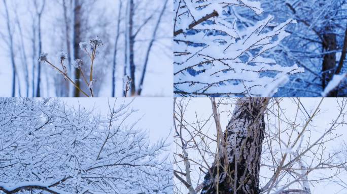 雪景