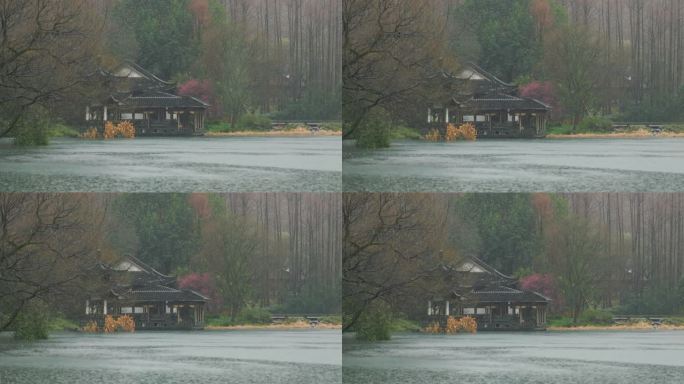 初春雨中杭州西湖的浴鹄湾景色