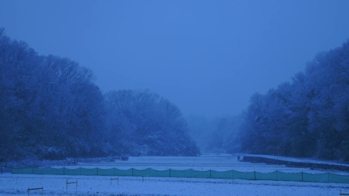 横滨郊区的一个村庄森林里正在下雪