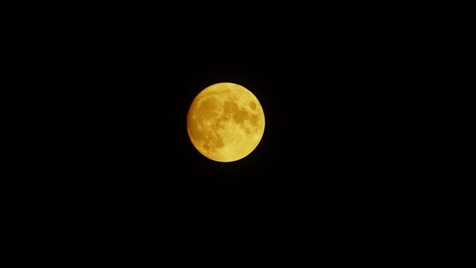 金色月亮升起延时真实拍摄十四的月亮