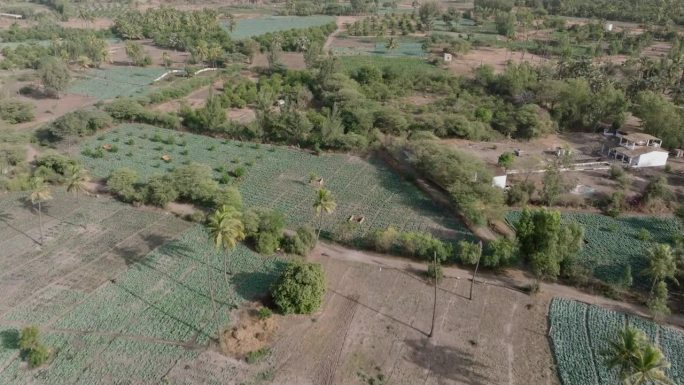 空中飞行。塞内加尔萨赫勒地区的小型蔬菜农场。干旱，气候变化，沙漠化