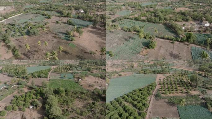空中飞行。塞内加尔萨赫勒地区的小型蔬菜农场。干旱，气候变化，沙漠化