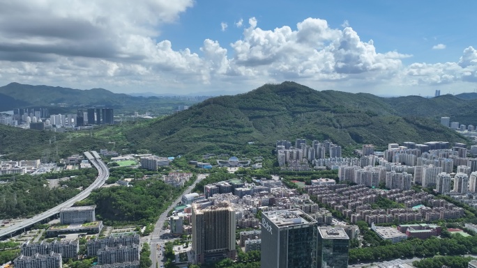 深圳南山塘朗山大景