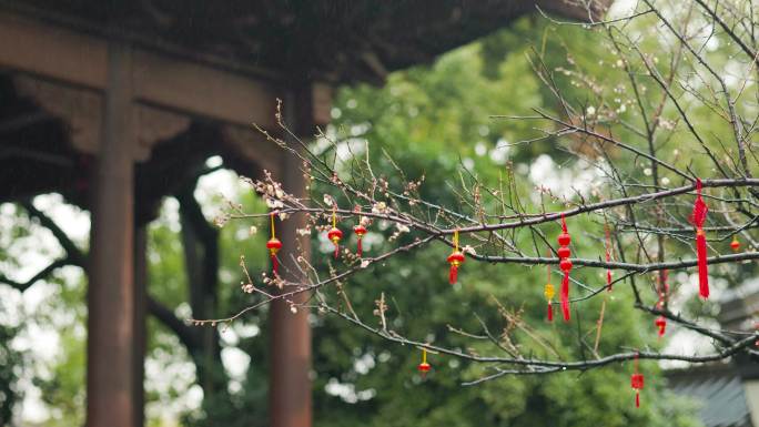 雨天杭州西湖钱王祠景色