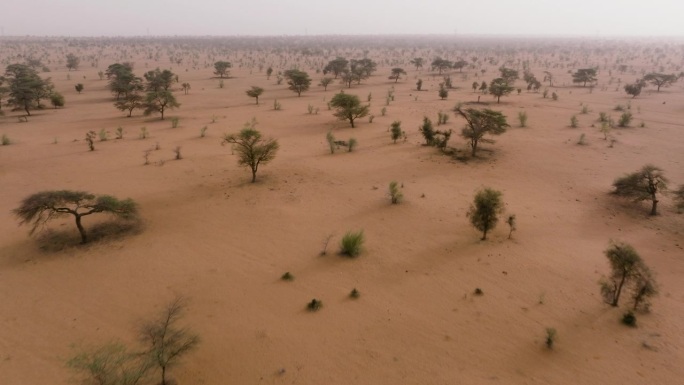 空中飞行。塞内加尔撒哈拉沙漠萨赫勒地区的典型景观。干旱，气候变化，沙漠化