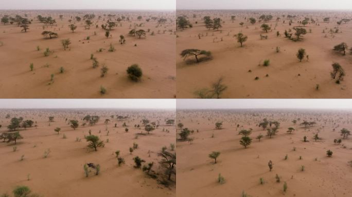 空中飞行。塞内加尔撒哈拉沙漠萨赫勒地区的典型景观。干旱，气候变化，沙漠化