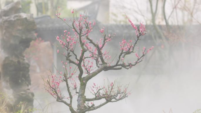 初春烟雨中的兰溪芥子园