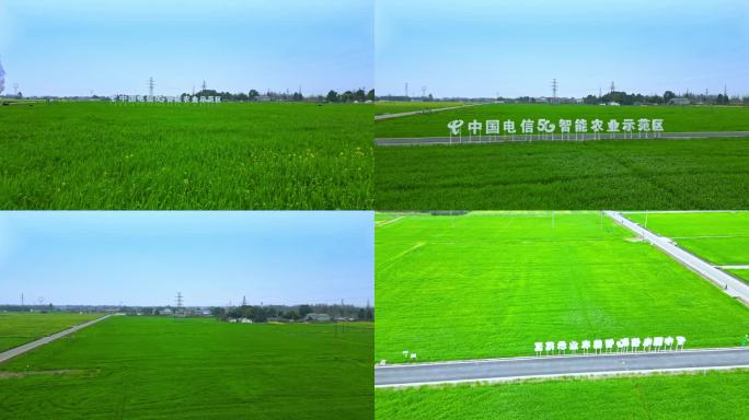 中国电信5G智能农业示范区 成都乡村振兴