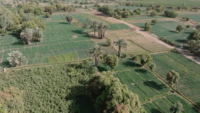 空中特写。塞内加尔萨赫勒地区的小型蔬菜农场。干旱，气候变化，沙漠化