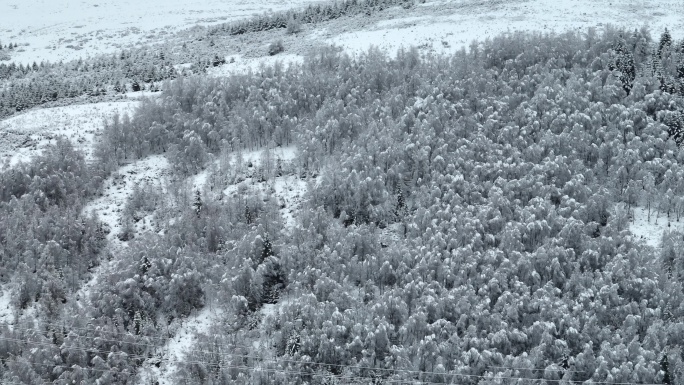 松潘古城雪景原始素材