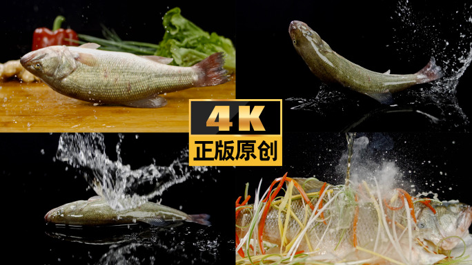 鱼鲈鱼美食鲜鱼河鲜食材水产品清蒸鱼海鲜鱼