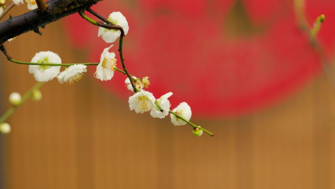 初春烟雨中的兰溪芥子园