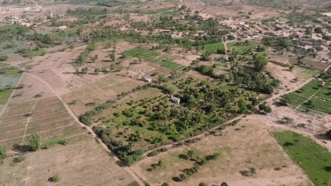 航空360。塞内加尔萨赫勒地区的小型蔬菜农场。干旱，气候变化，沙漠化