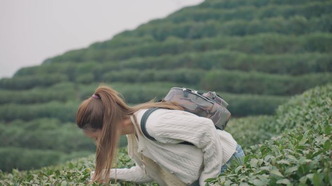 美女闻茶叶西湖龙井茶园龙坞茶镇