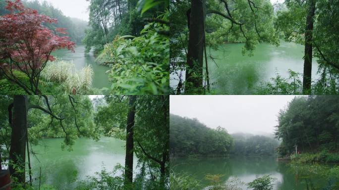 黛湖-小雨