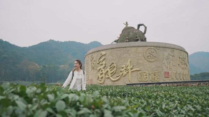 （简介有合集）美女西湖龙井茶园龙坞茶镇