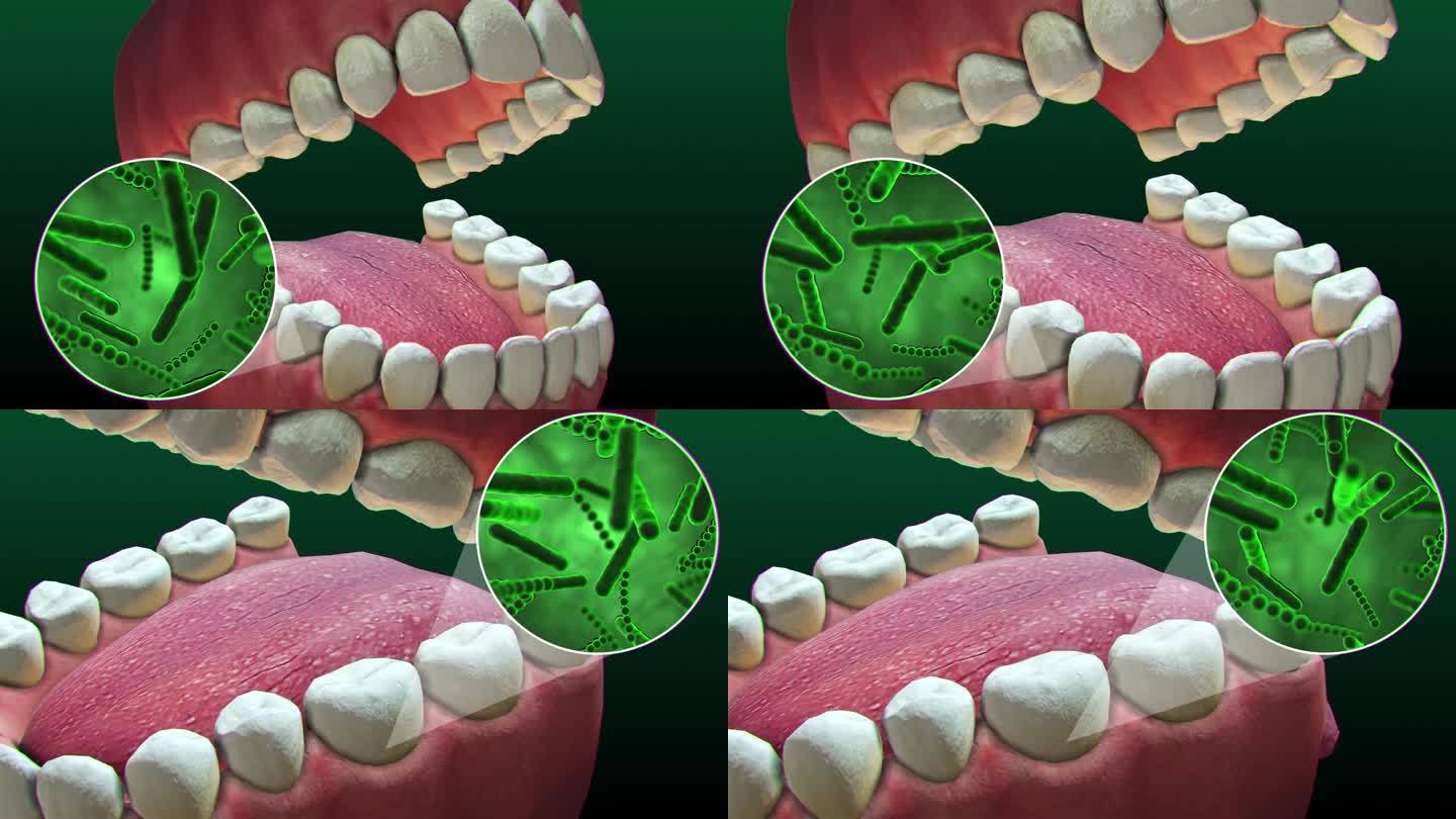 牙齿周围的细菌和病毒