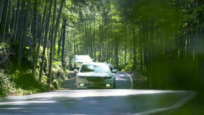 唯美广告竹林中穿梭的汽车大片竹林