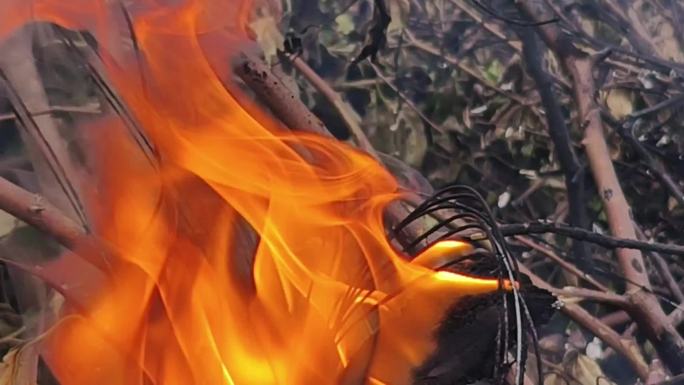火焰火苗燃烧炽热的火火烧森林山火火烧植物