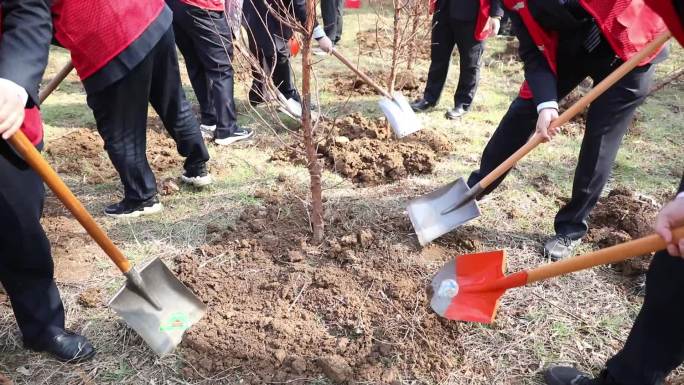 植树节 户外活动 团建