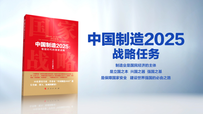 中国制造2025 蓝皮书 书展示