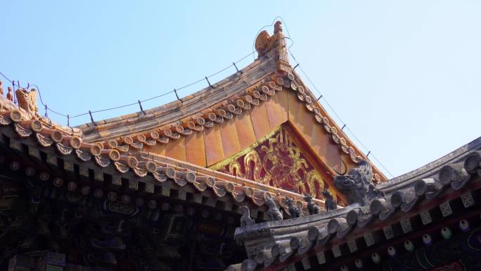 寺庙 古建筑 松树 绿植 寺院屋顶 空镜