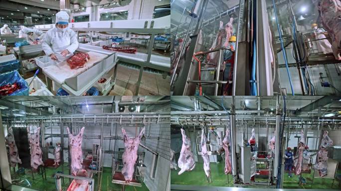牛肉加工厂 RED实拍素材