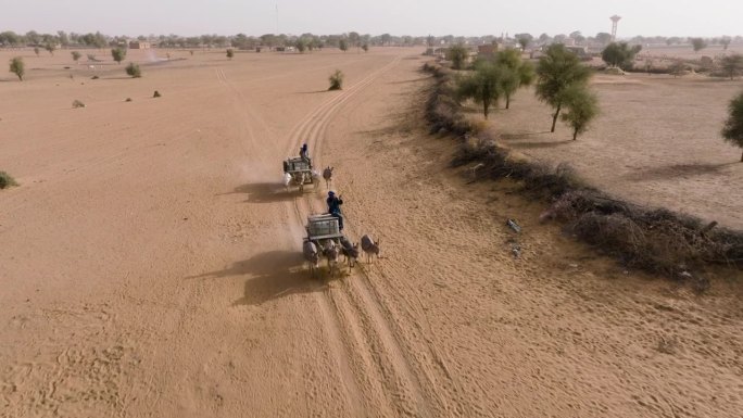 空中特写。在塞内加尔撒哈拉沙漠萨赫勒地区贫瘠的土地上，两个黑人拉着满载饮用水的驴车返回他们的村庄。干