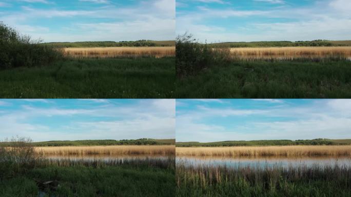 美丽的乌克兰大自然蓝天黄麦绿草地