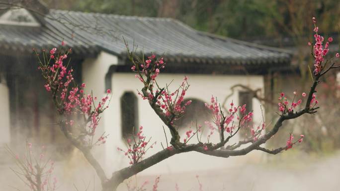 初春烟雨中的兰溪芥子园