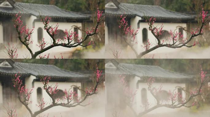 初春烟雨中的兰溪芥子园