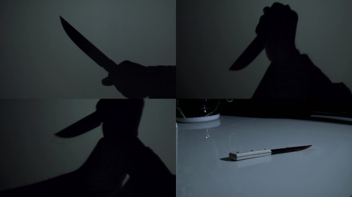 匕首博斗犯罪现场模拟