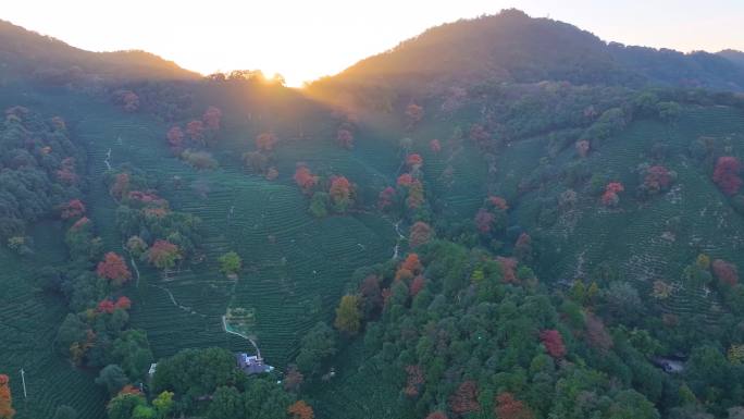 夕阳西下大山森林唯美航拍风景大自然风光杭