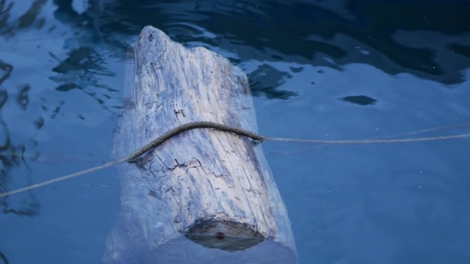 一根圆木漂浮在海里。船旁边的绳子附近漂浮着一根被木头啃过的旧木头。浮木。克罗地亚罗维尼——2024年