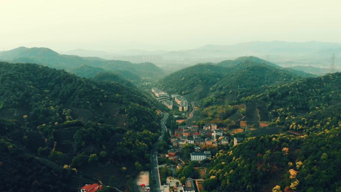 杭州大清谷民居航拍茶山