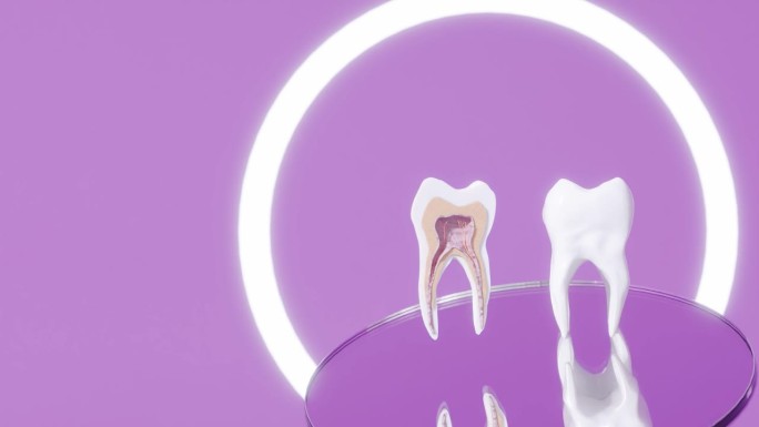 臼齿横截面牙医工作室种植诊断模型旋转以上牙医镜三维渲染动画预防
