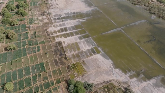 高空飞行。侵蚀土壤盐分，造成土壤盐碱化，阻碍排水，除非种植蔬菜，否则土地盐分过多。萨赫勒，干旱，气候