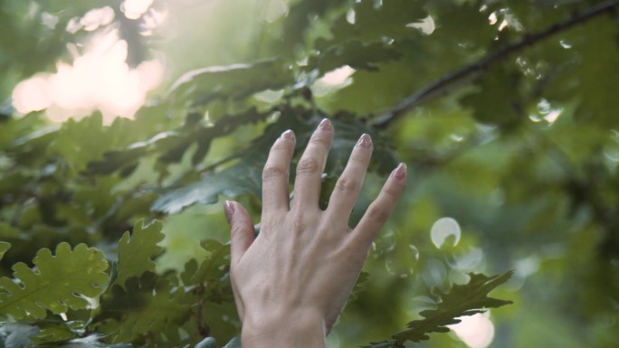 接近女人的手与美丽的指甲触摸绿色的树叶，感受大自然