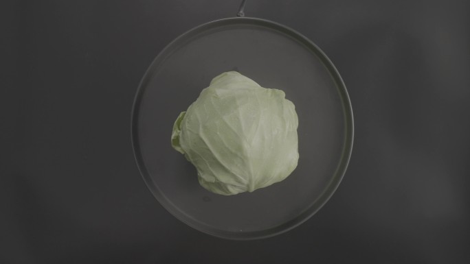 垂直拍摄包菜蔬菜食物美食食材旋转4K