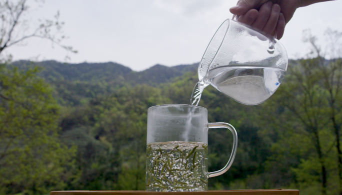 茶叶泡茶制茶