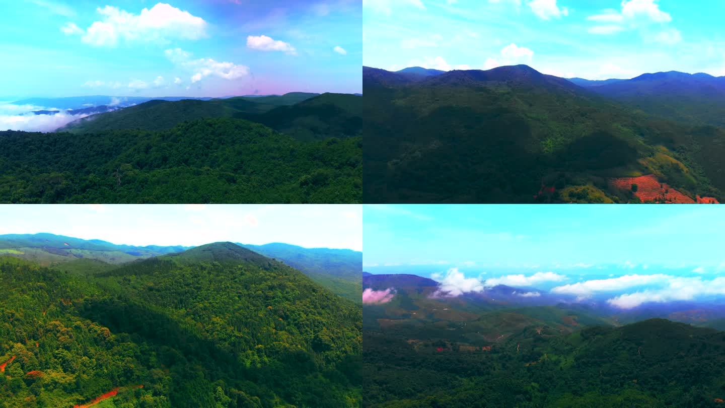 热带雨林大黑山航拍