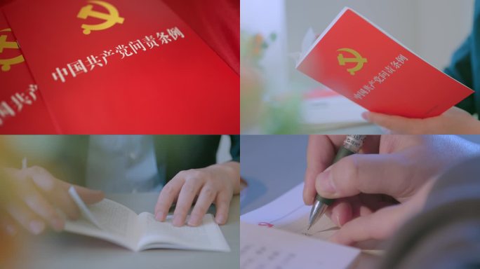 中国共产党问责条例