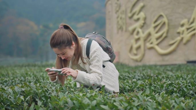 （简介有合集）美女西湖龙井茶园龙坞茶镇