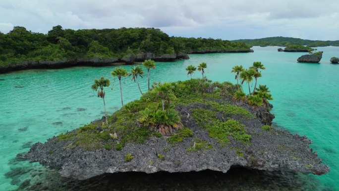 一架无人机在斐济群岛小岩石上的棕榈树上低空飞行