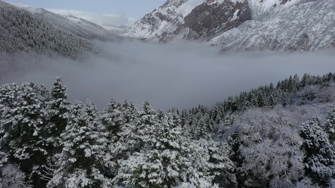 黄龙雪景