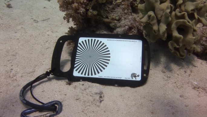 水下珊瑚礁专业视频设备监控。