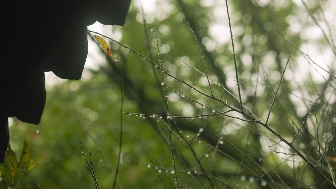 江南园林雨中的韵味美感